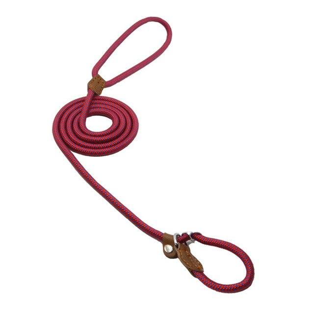 Burgundy rope dog lead coiled with loop handle and collar attachment