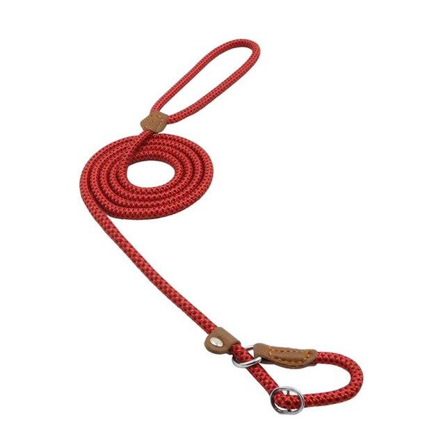 Red rope dog lead coiled with loop handle and collar attachment